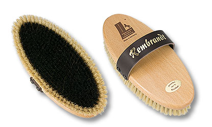 horse grooming brush Rembrandt