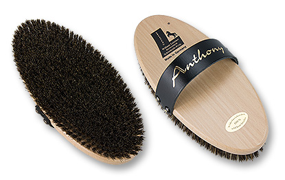 horse grooming brush Anthony