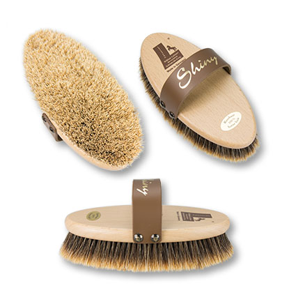 horse grooming brush Shiny