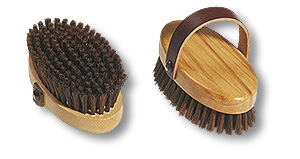 grooming brush for hounds
