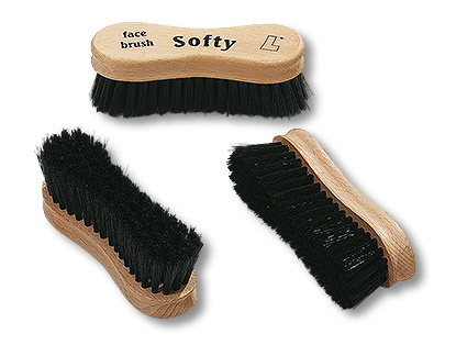 face brush for horses