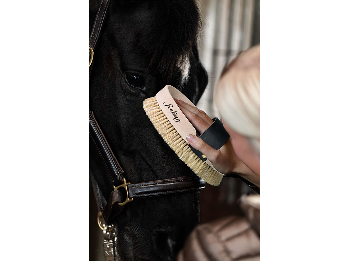 William Leistner horse grooming brushes